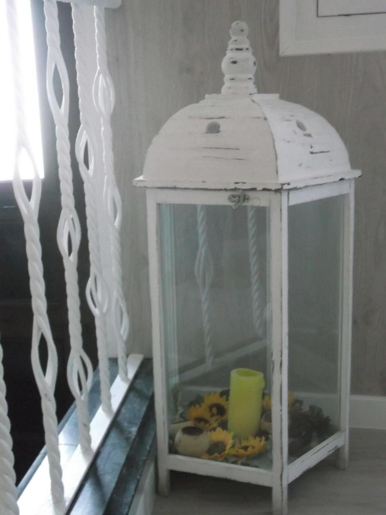 Old Evora Guest House エクステリア 写真